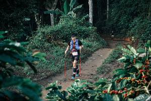 BIB: 
                            <button type="button" onclick="openModal(25790724)" class="btn btn-primary btn-sm float-right btn-popup" data-toggle="modal" data-target=".modal-high-quality">
                        <i class="fas fa-shopping-cart"></i> Add to Cart
                    </button>
                                            <button type="button" onclick="isThisMe(25790724, true)" class="btn btn-success btn-sm float-right btn-popup btn-isme hidden" data-toggle="tooltip" data-placement="bottom" title="นี่คือรูปของคุณใช่ไหม คลิกที่นี่เพื่อเอาเข้าอัลบั้ม">
                        <i class="fas fa-plus"></i> Add to album
                    </button>
                    <button type="button" onclick="isThisMe(25790724, false)" class="btn btn-warning btn-sm float-right btn-popup btn-isnotme hidden">
                        <i class="fas fa-ban"></i> Remove from album
                    </button>